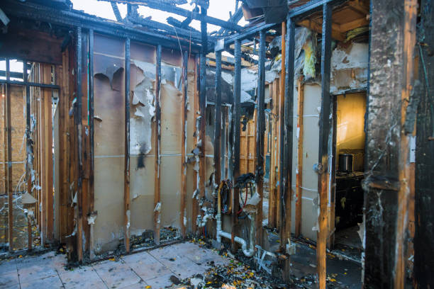 Professional Structural Rebuild technician working in Clifton, TX